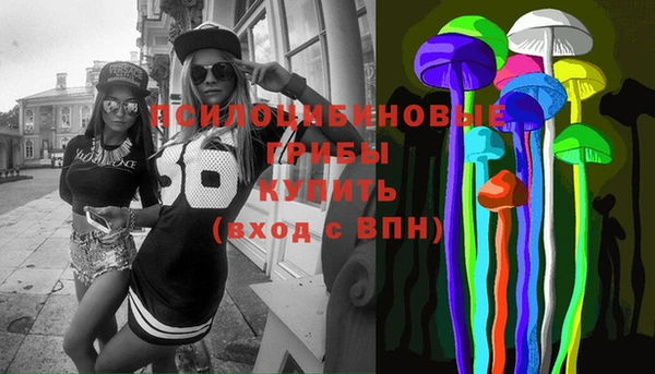эйфоретик Аркадак