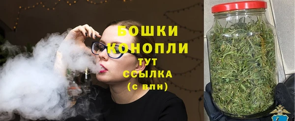 прущие грибы Баксан