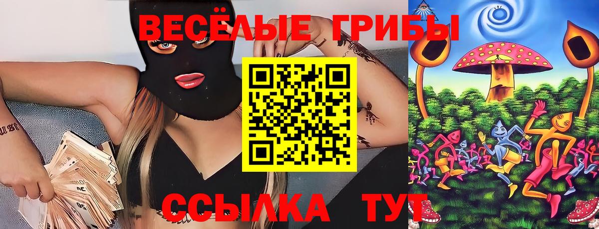 Галлюциногенные грибы Cubensis  купить наркоту  Коломна  Вход с VPN 