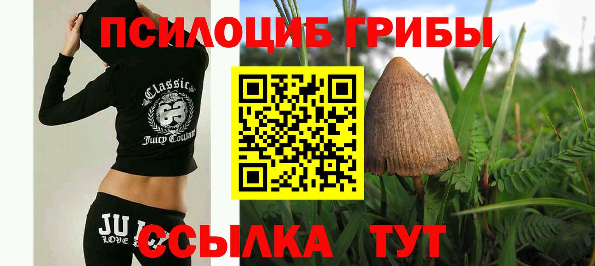 Псилоцибиновые грибы ЛСД Коломна