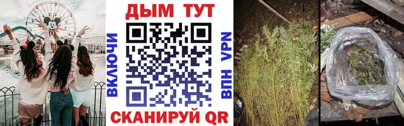 Конопля планчик  купить   Коломна 